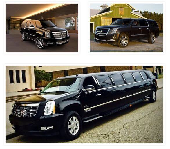 about our limo company